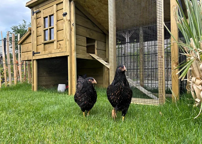 Holiday home Het Paradijs In Barneveld