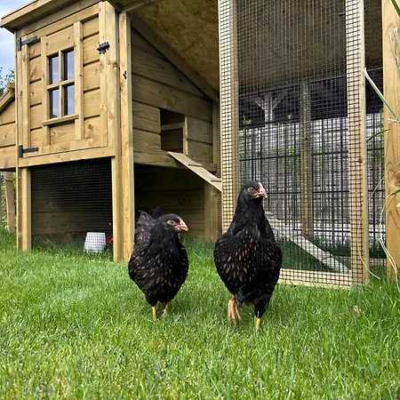 בית נופש Het Paradijs In בארנפלד